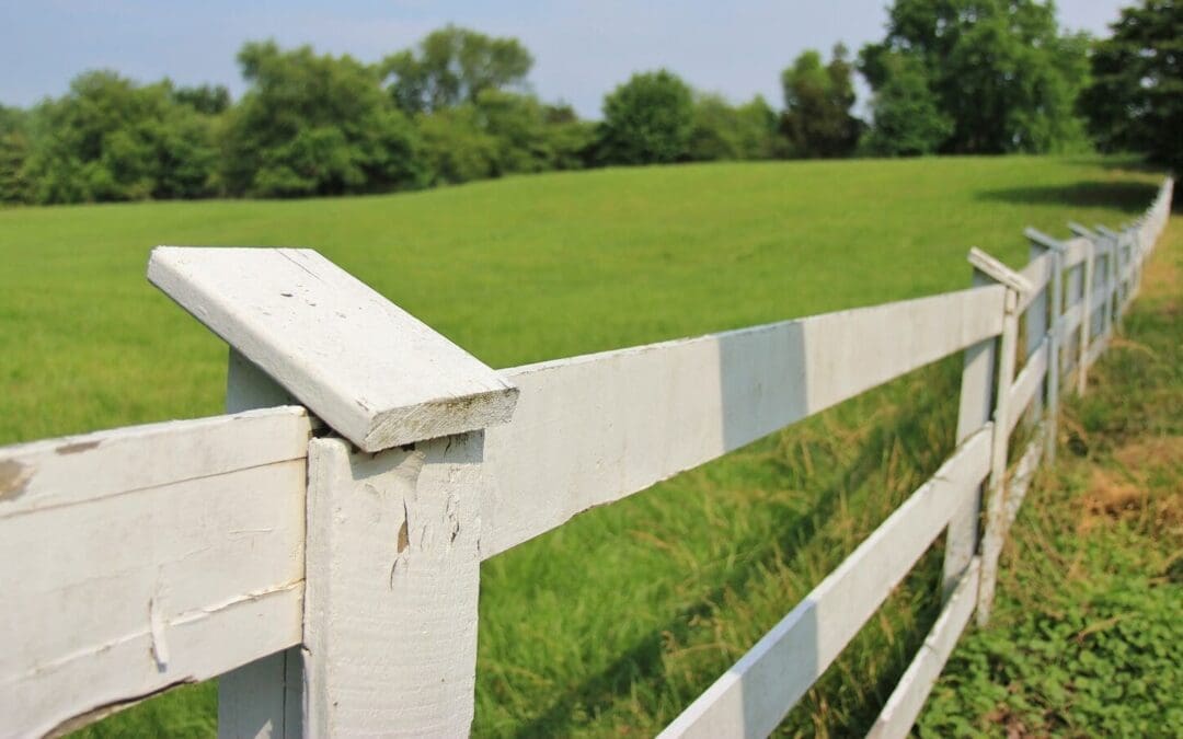 Fence Laws and Adverse Possession in Maryland