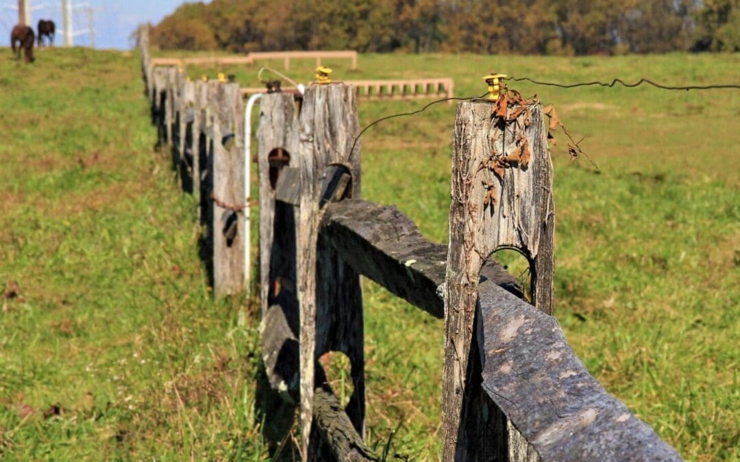 Maryland Property Disputes & Lawsuits