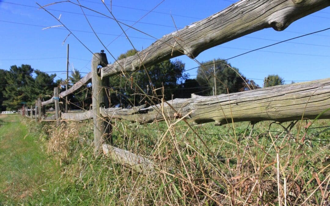 Washington DC Property Disputes & Lawsuits