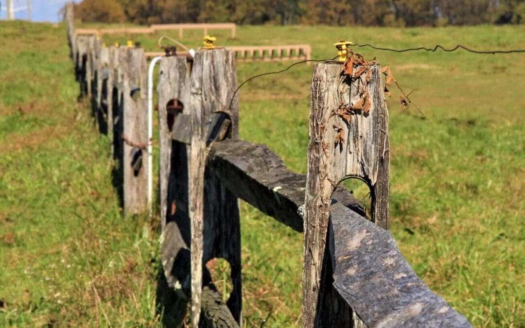 Adverse Possession and Fence Disputes in Washington DC